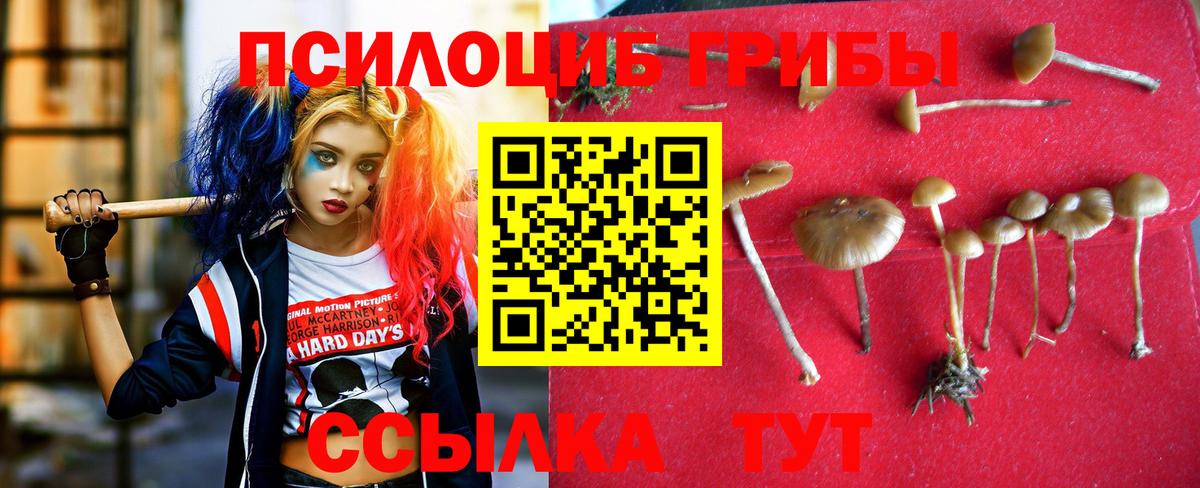 Псилоцибиновые грибы ЛСД Кушва