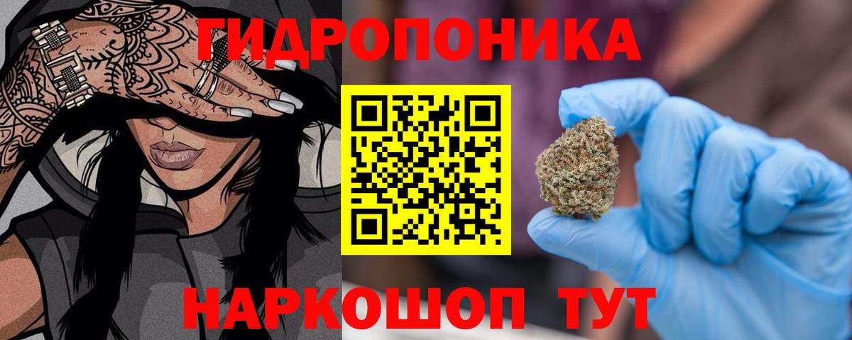Кушва  Канабис конопля  Каннабис White Widow  Бошки Шишки марихуана  Вход с VPN 