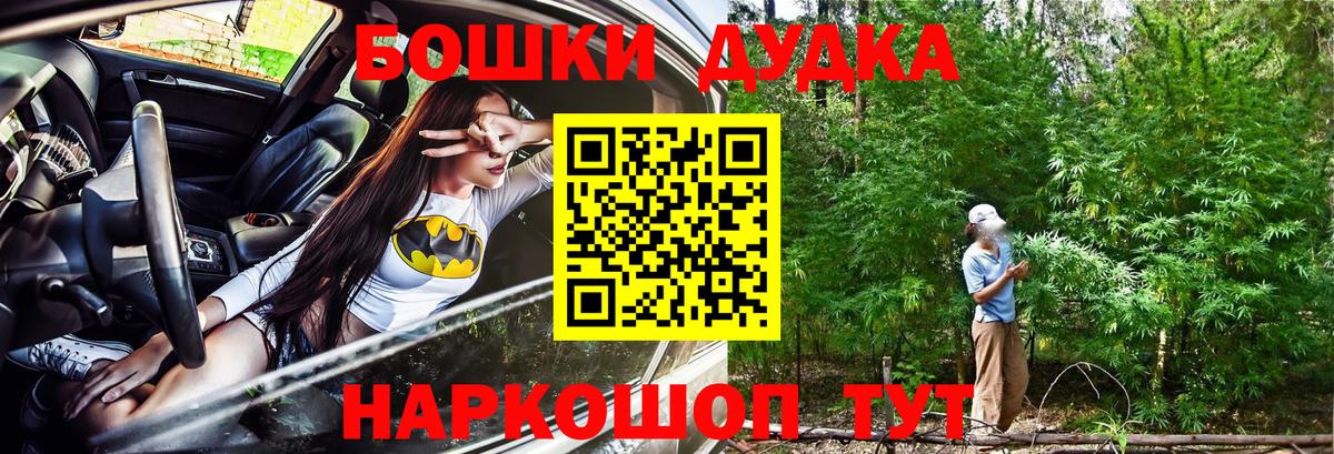 Каннабис индика Кушва